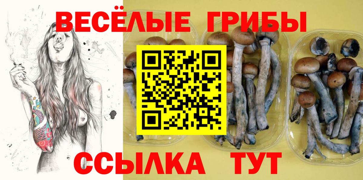 Галлюциногенные грибы GOLDEN TEACHER  Псилоцибиновые грибы Psilocybine cubensis  Вход с VPN  Татарск 