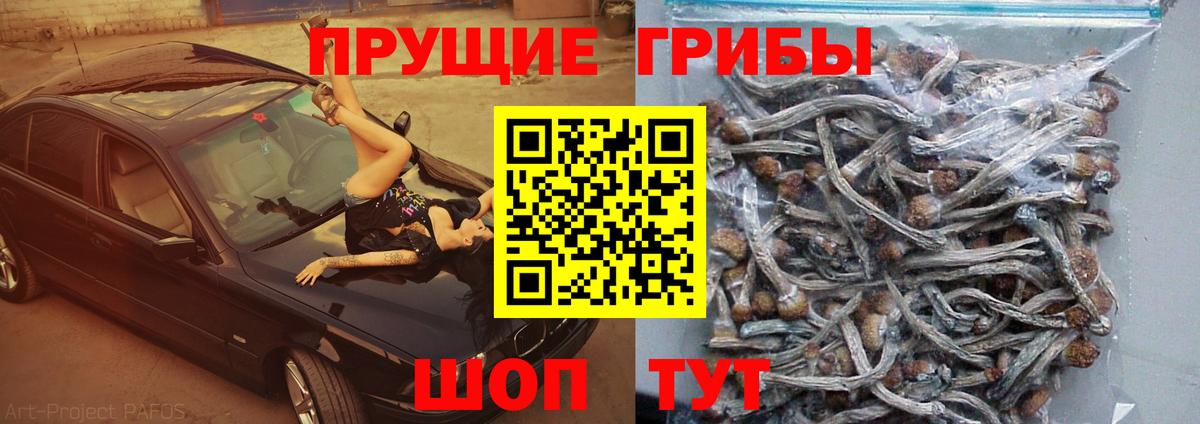 Галлюциногенные грибы MAGIC MUSHROOMS Татарск